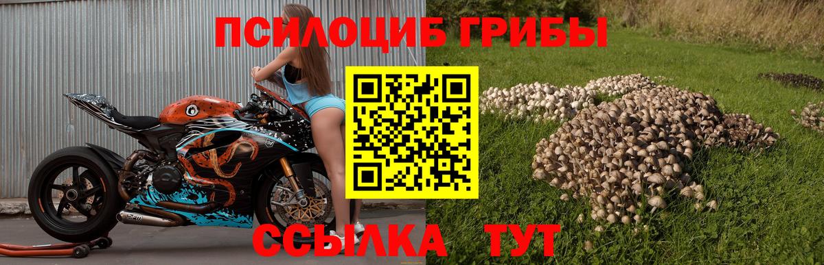 Псилоцибиновые грибы мицелий  Вход с VPN  где продают   Сызрань 