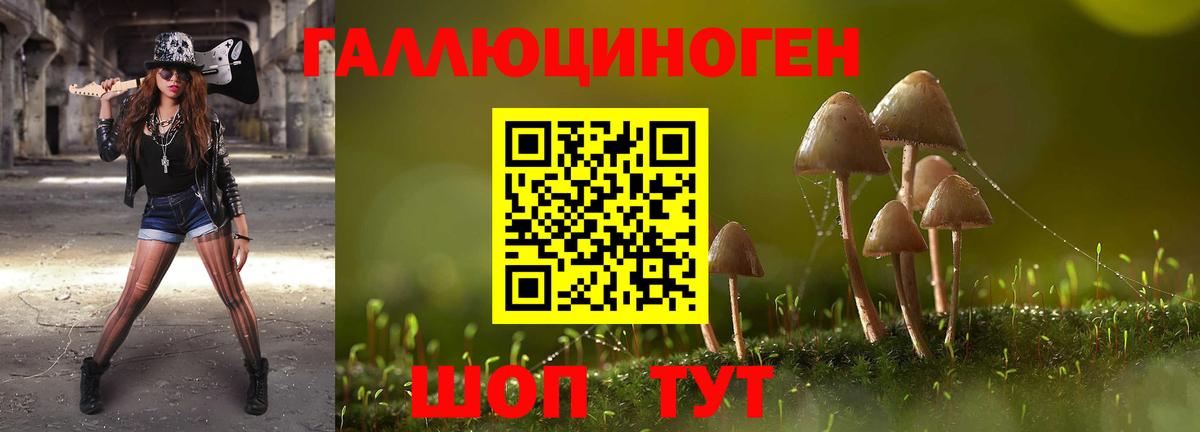 Псилоцибиновые грибы Cubensis Сызрань